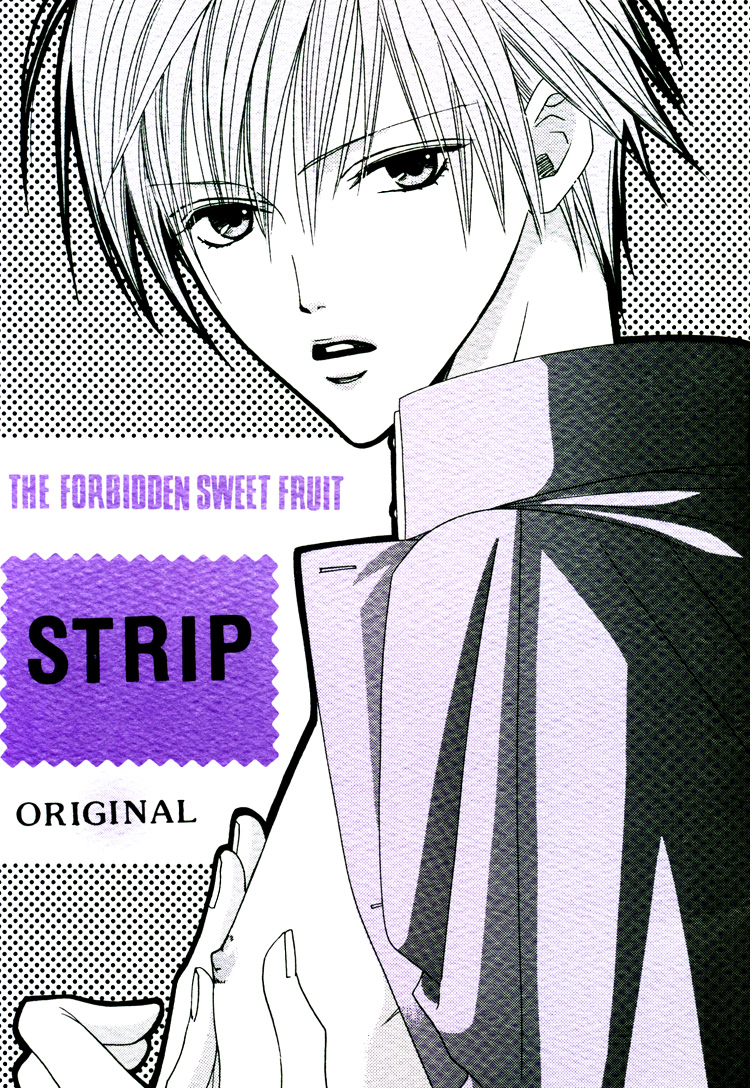 Strip cover