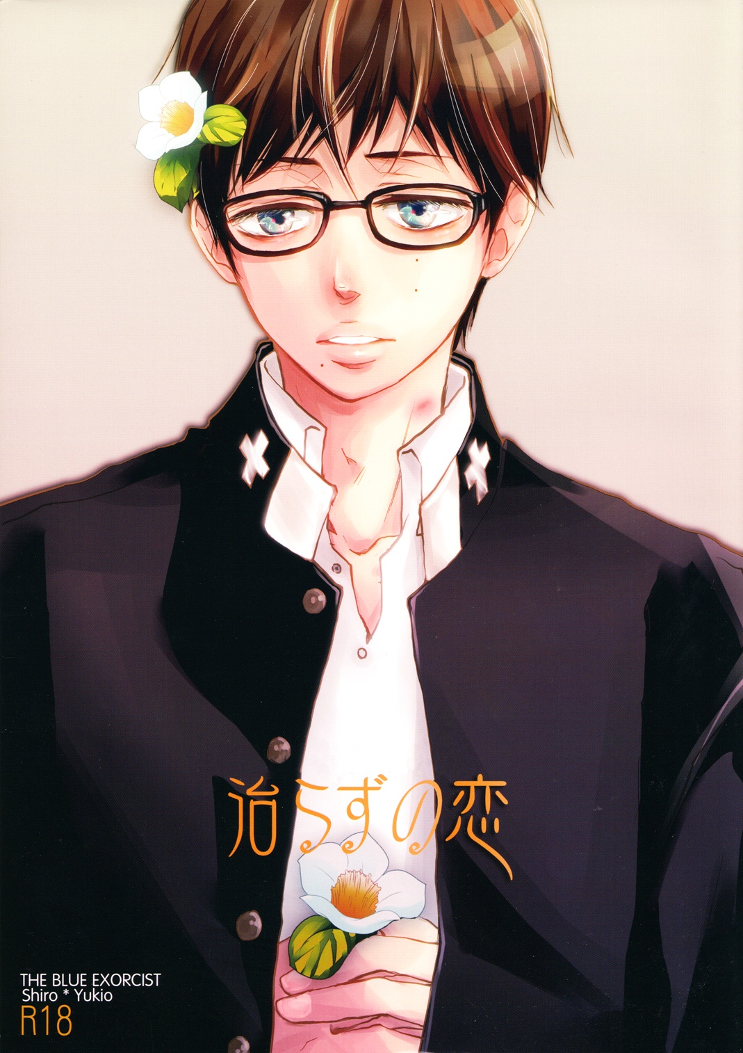 Ao no Exorcist - Naorazu no Koi (Doujinshi) cover