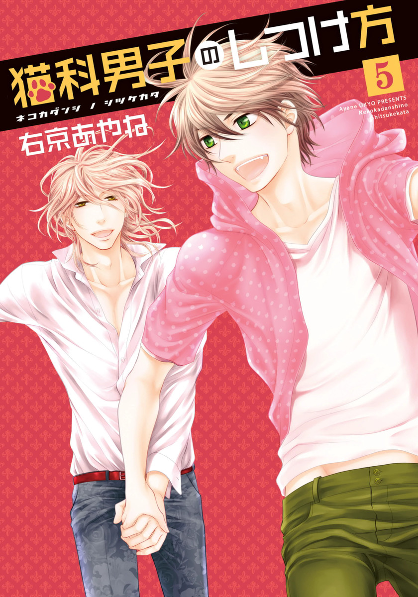 Nekoka Danshi no Shitsukekata cover