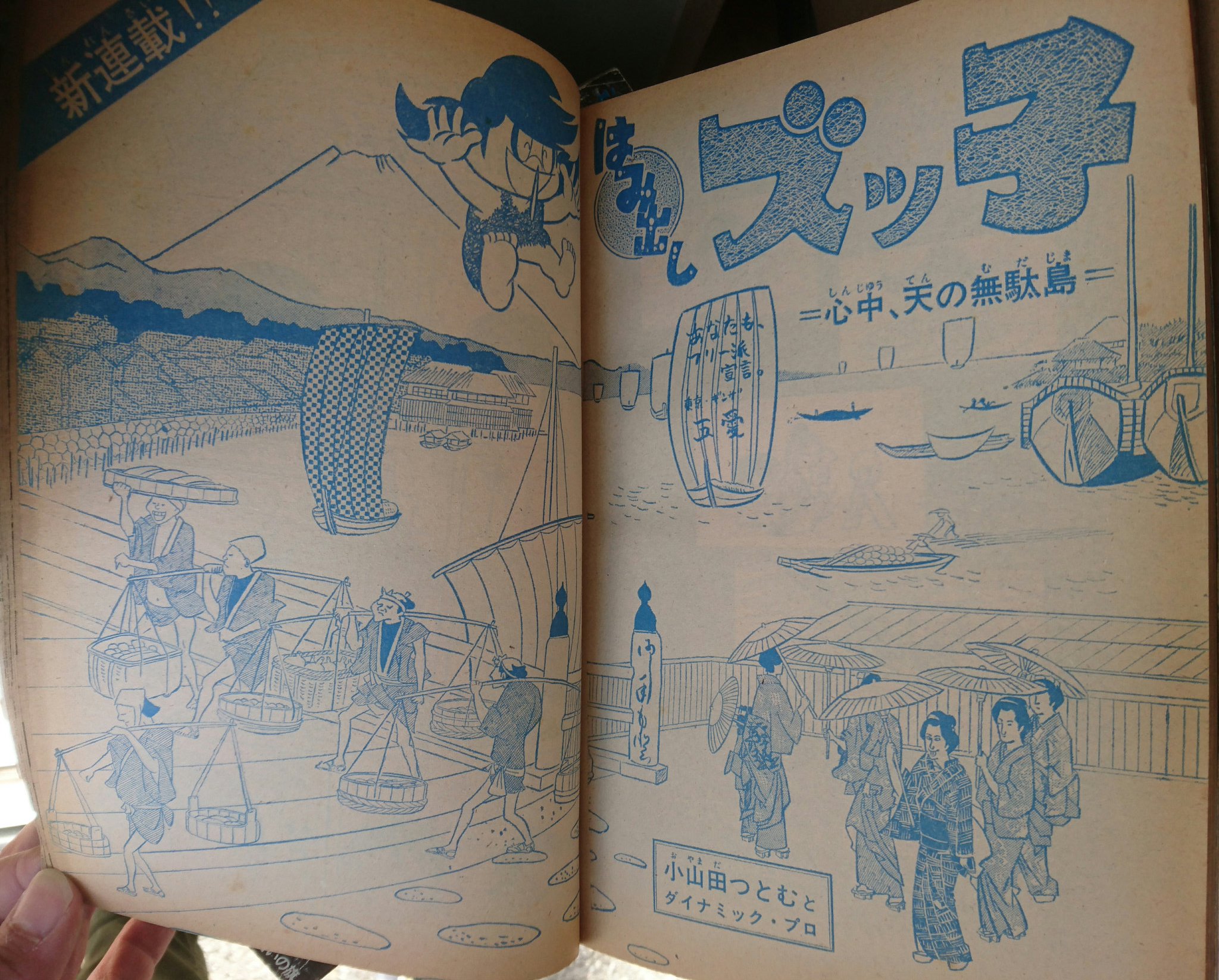 Protruding Zukko cover