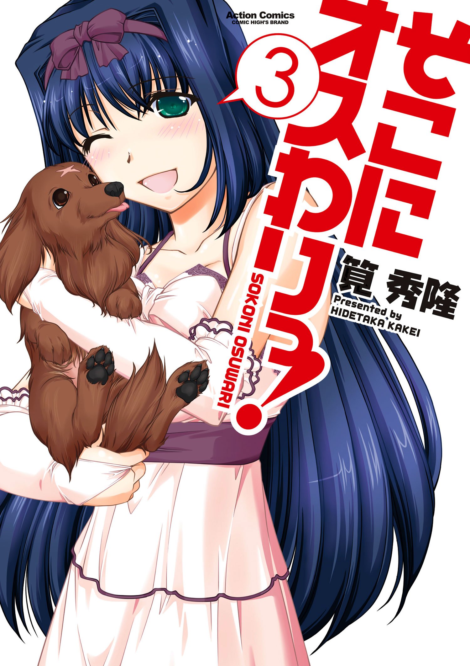 Sokoni Osuwari! cover