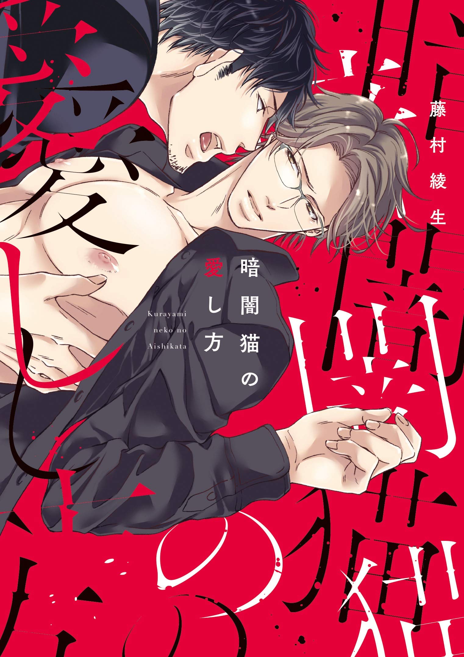 Kurayami Neko no Aishikata cover