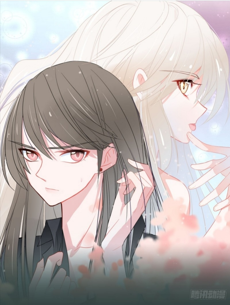 Words and spirits cover