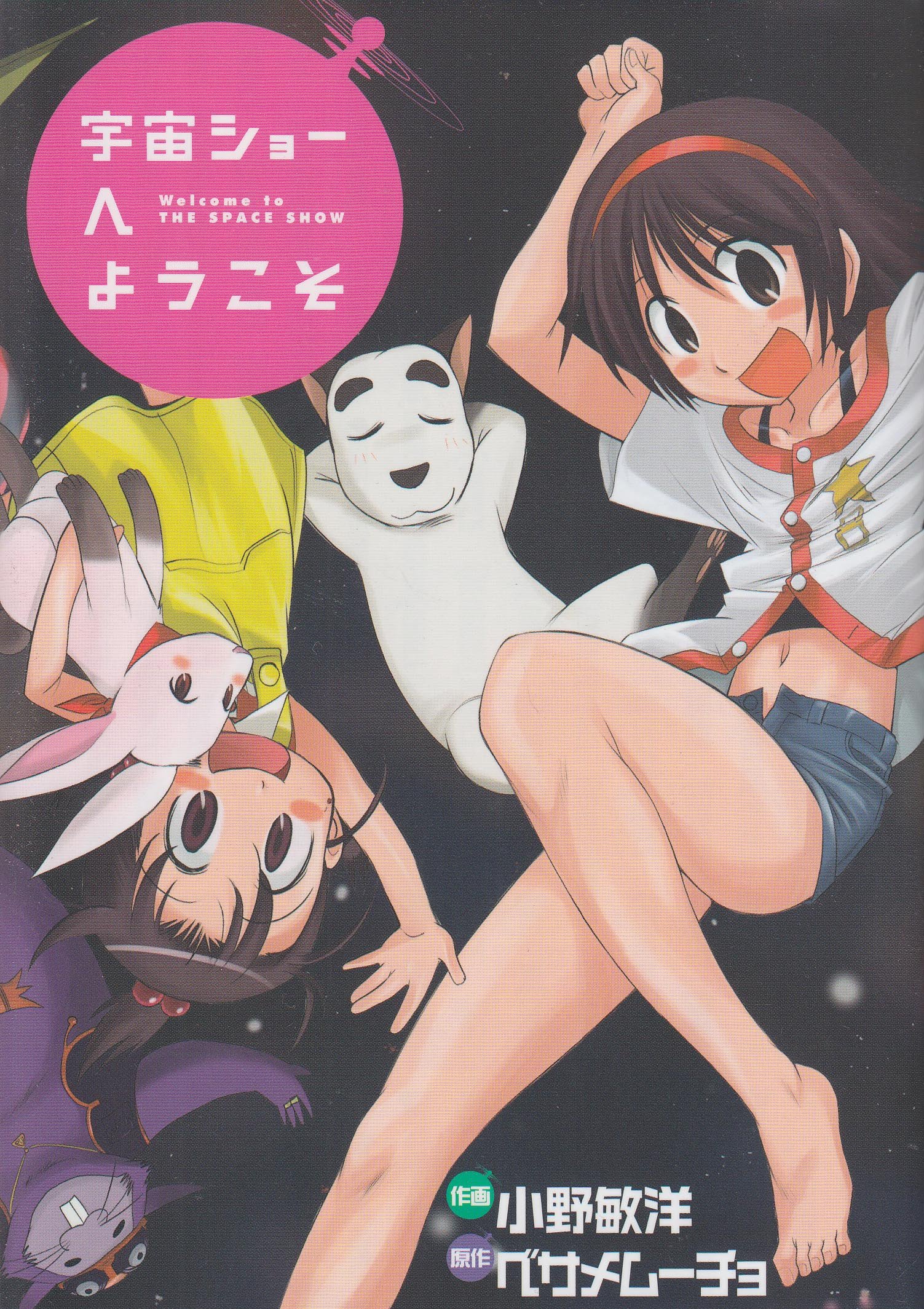 Welcome to the Space Show cover