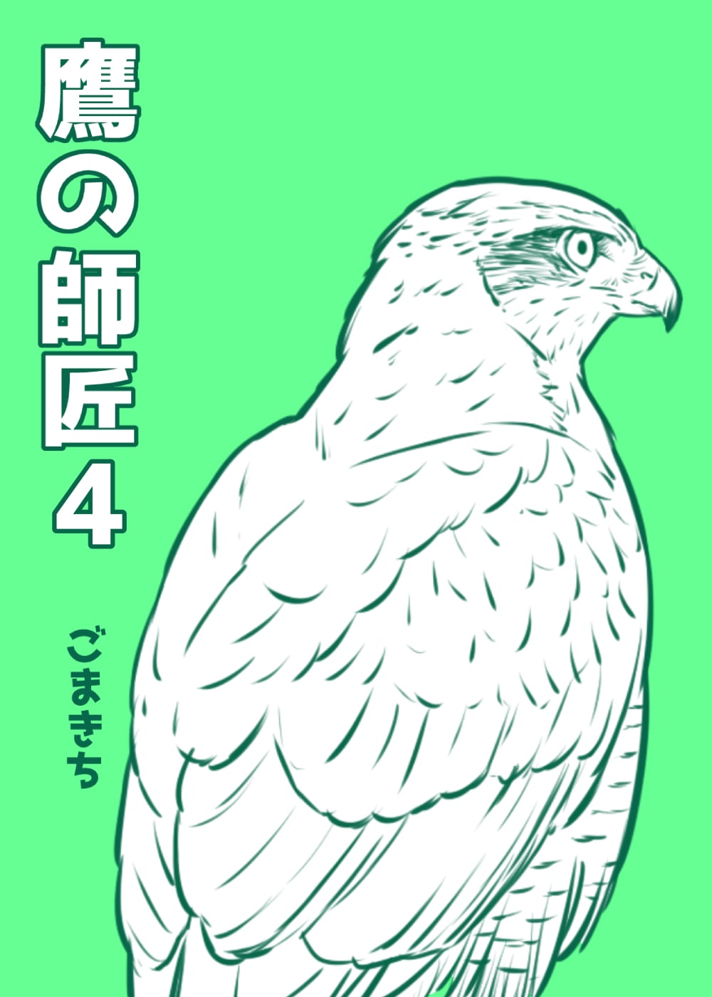 Hawk Master, It's Hunting Time! cover